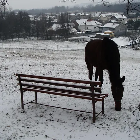 Stajnia Grudki Energylandia