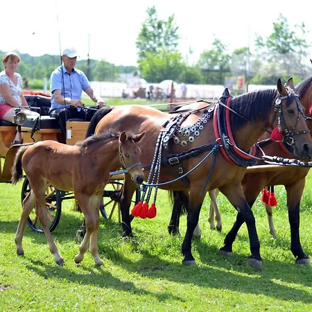 Stajnia Grudki Energylandia Bauernhof Zator
