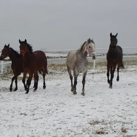 Lantgård Stajnia Grudki Energylandia Zator