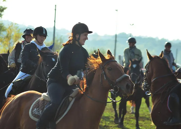 Stajnia Grudki Energylandia Zator * Wożniki