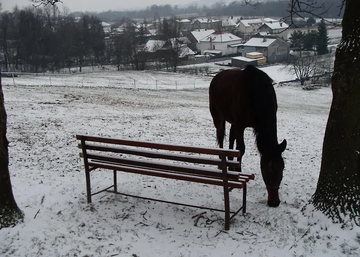 Stajnia Grudki Energylandia Zator