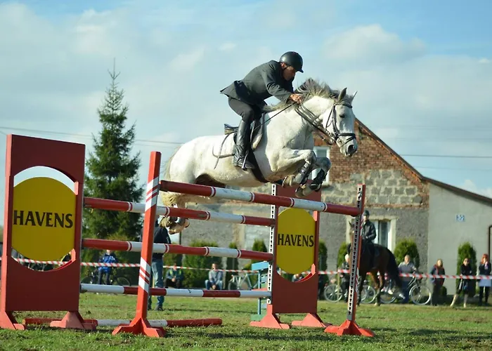 Stajnia Grudki Energylandia Zator