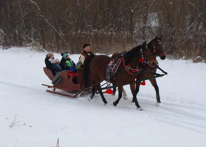 Stajnia Grudki Energylandia Zator Farma *